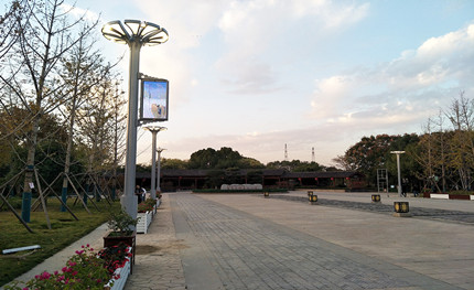 在這綠樹(shù)成蔭的公園里，我是一棵特別的“樹(shù)”